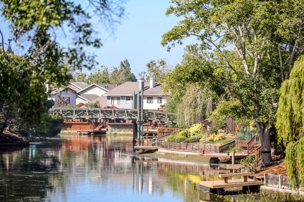 Harbor Bay Isle Neighborhood