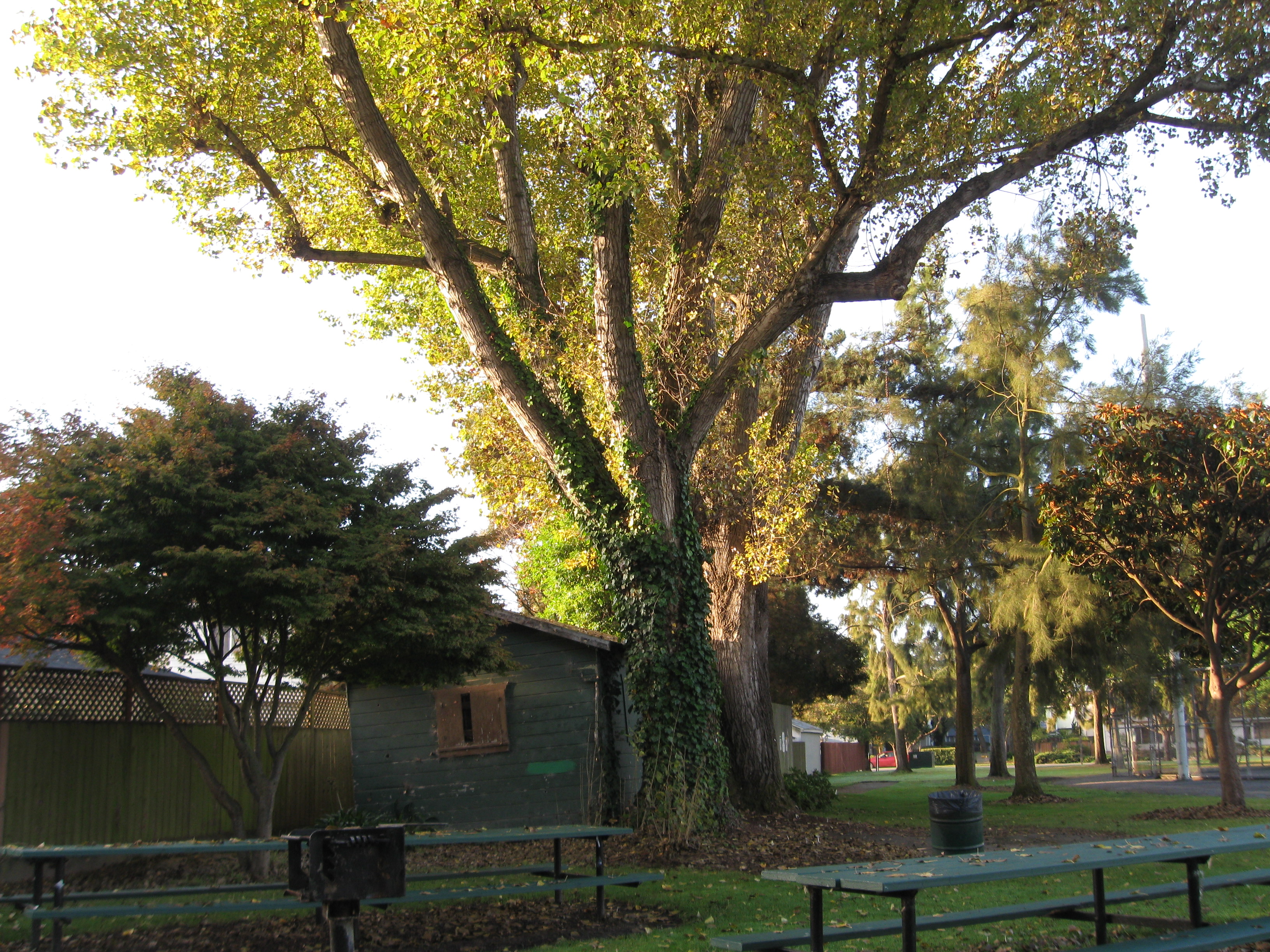 Krusi Park